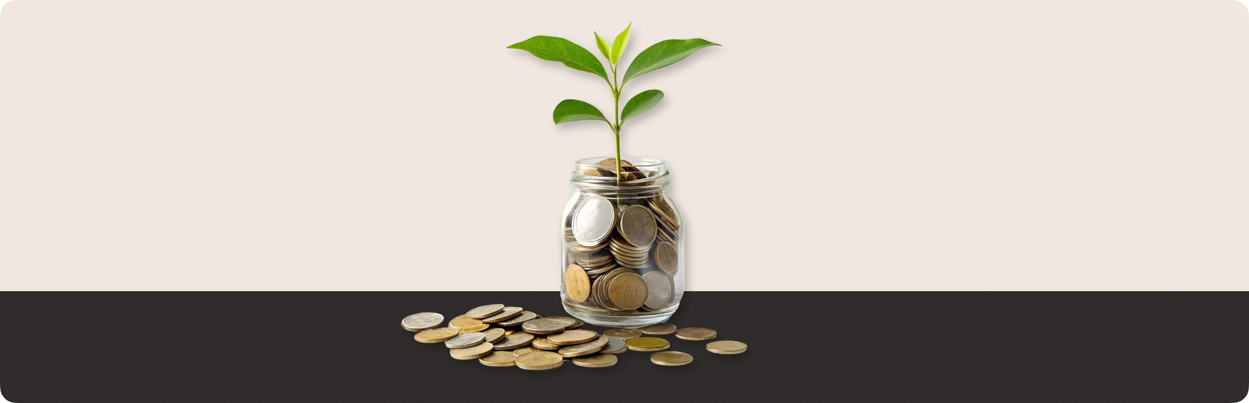 Katılım Fonu Nedir, Nasıl Alınır?