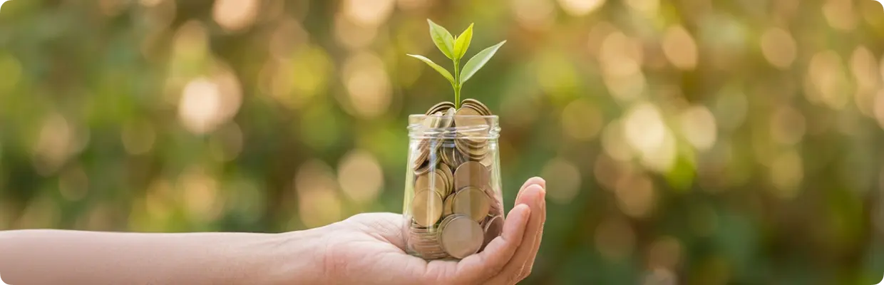 BES Nedir? Bireysel Emeklilik Sistemi Nasıl Çalışır?